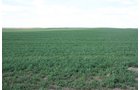 Property photo 44 - LAND AUCTION, 3255+/- Acres offered in 13 Tracts